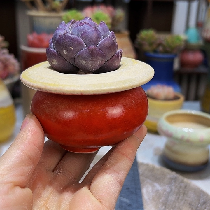 景德镇陶瓷2单包邮