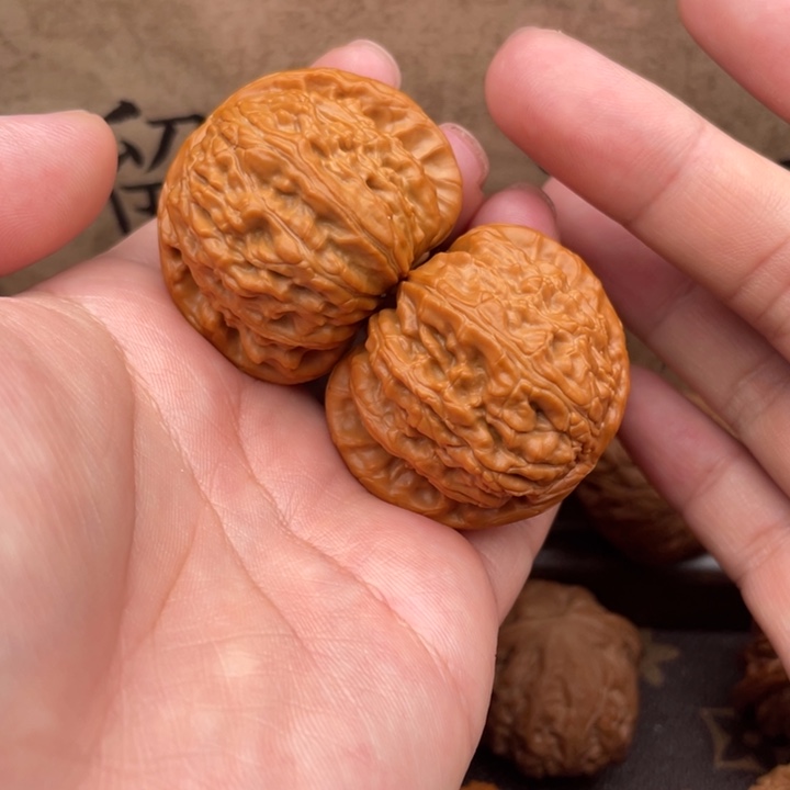 把件文玩核桃42白狮子微修打底