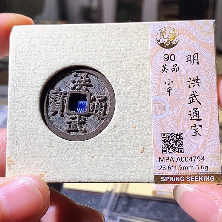 铜洪武通宝。华夏天玺总店794