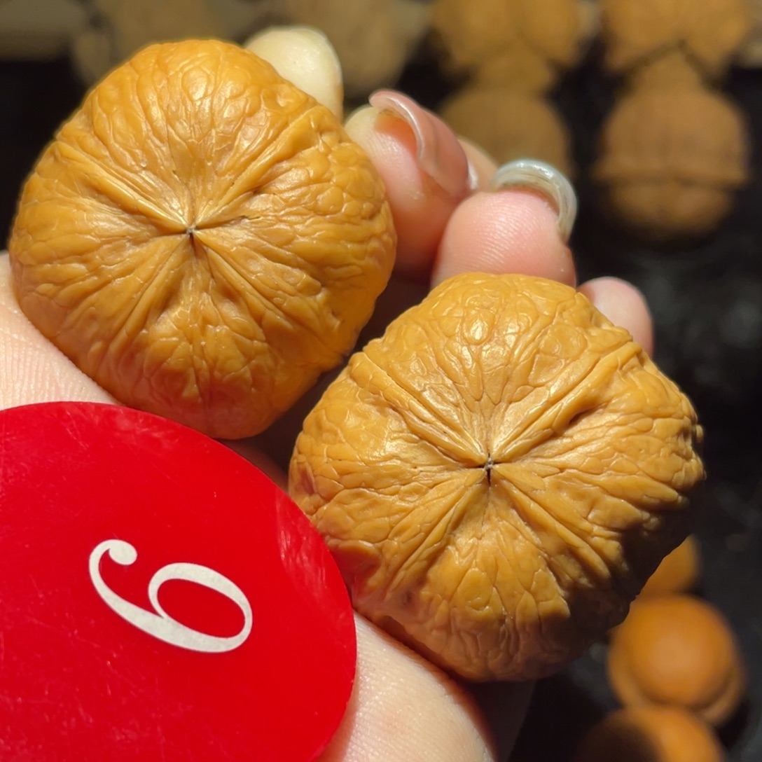 小***贵四棱34尺寸精品毕业对