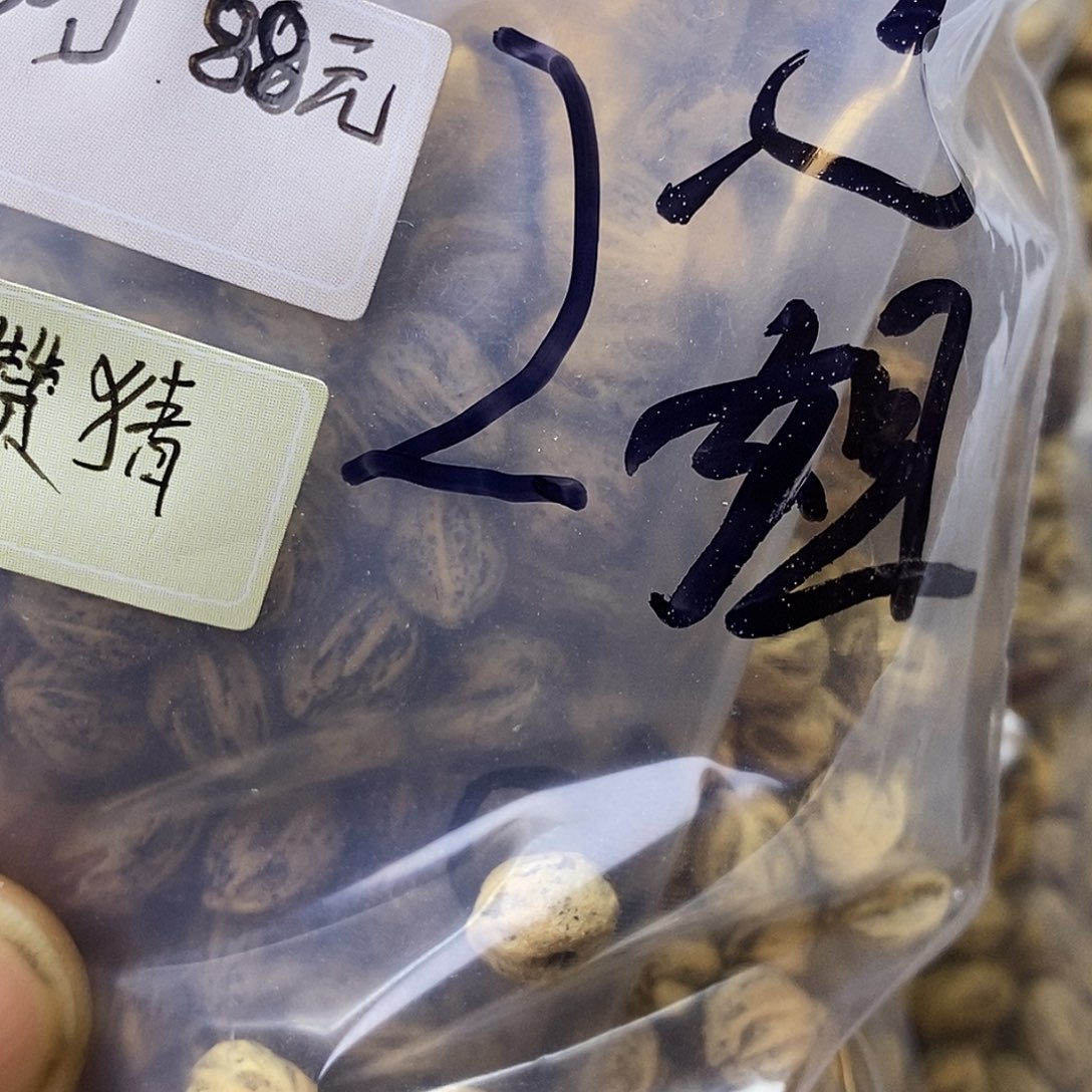 念***念吊坠柏香籽/百香籽