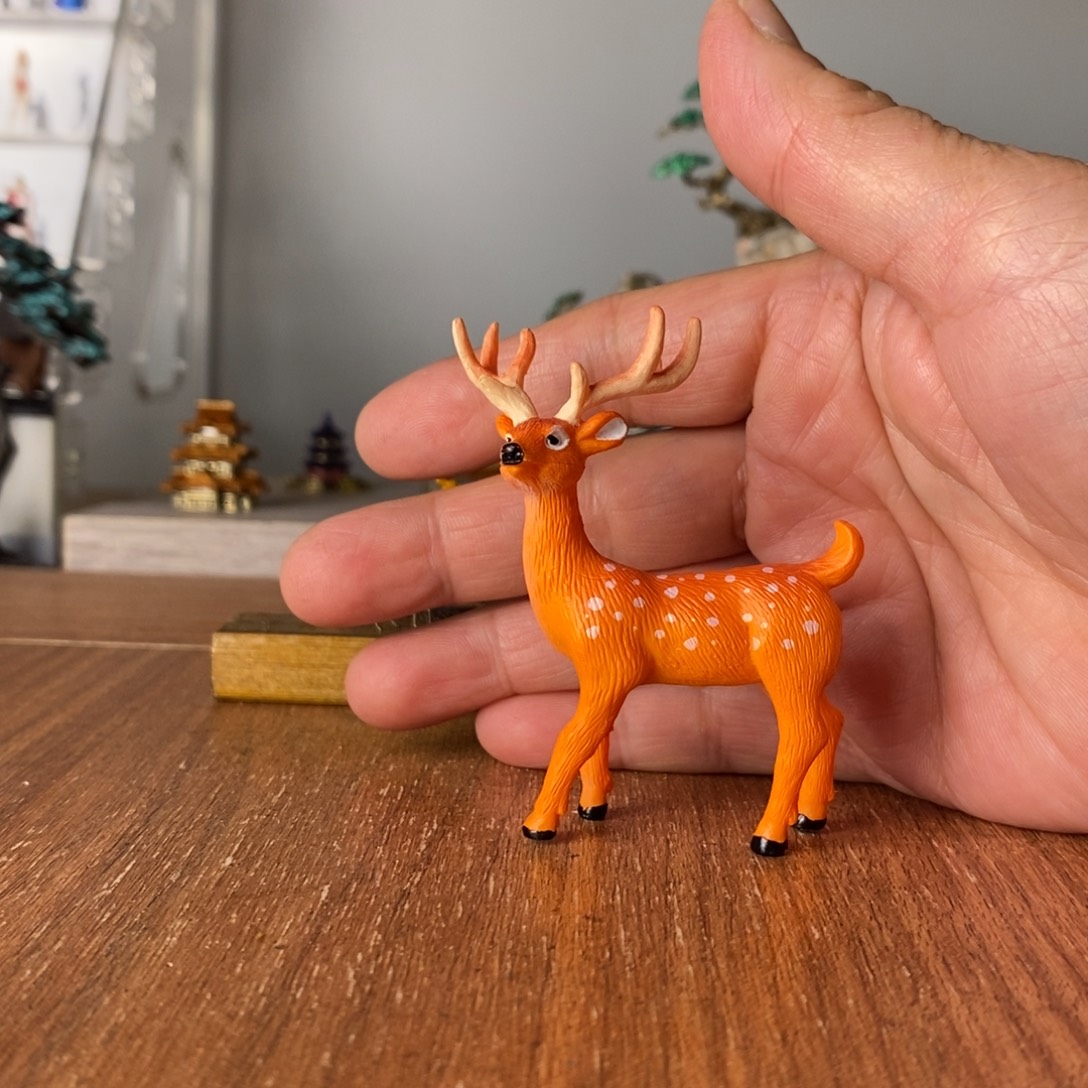 摆件我要去看看那些喜欢