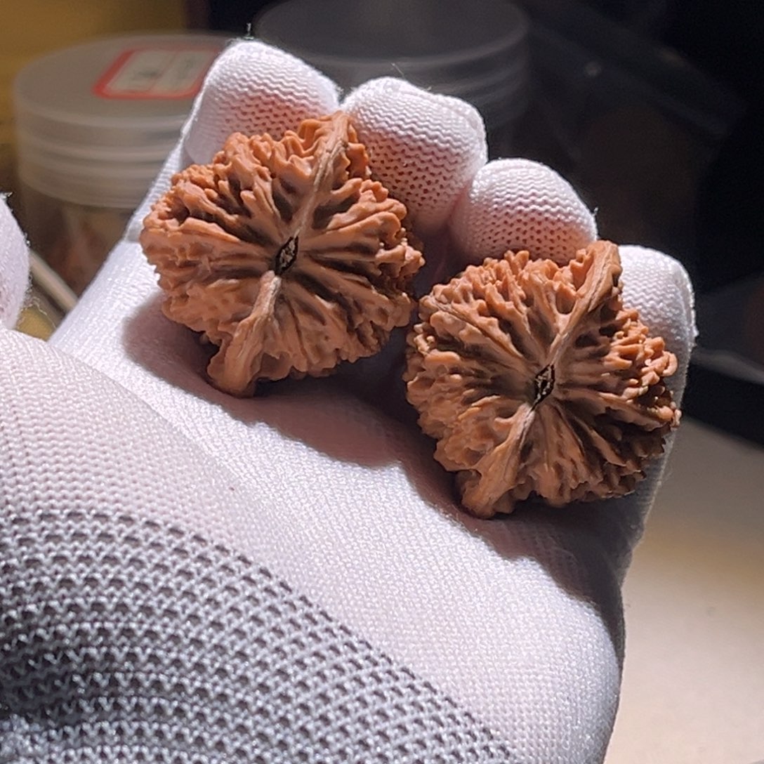 D***.满天真满天星满天真 