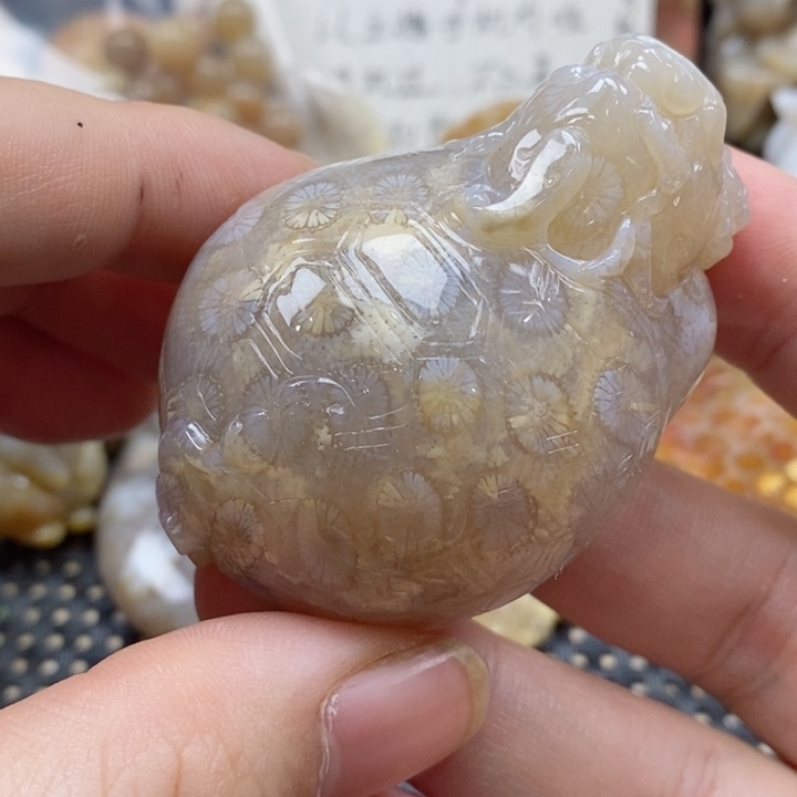 硅化珊瑚（珊瑚玉）颈饰未镶嵌