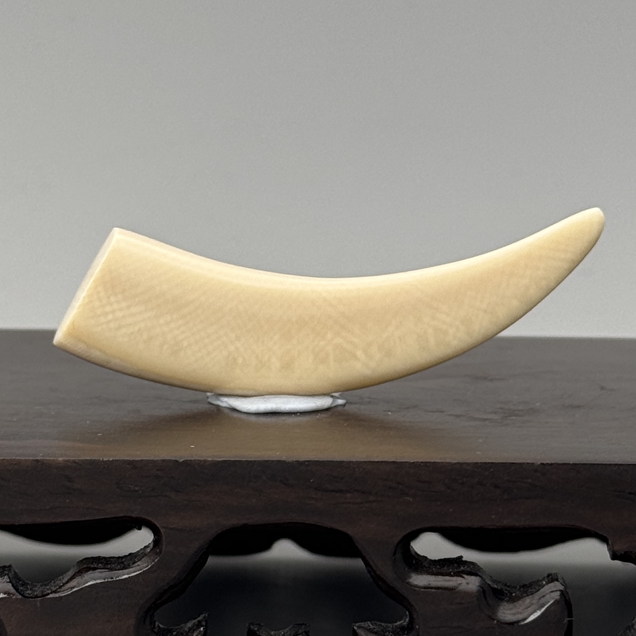 DEZHI/德志57*7*14mm4.9g牙尖吊坠天然猛犸牙C625