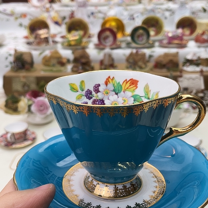 盘维多利亚欧洲中古