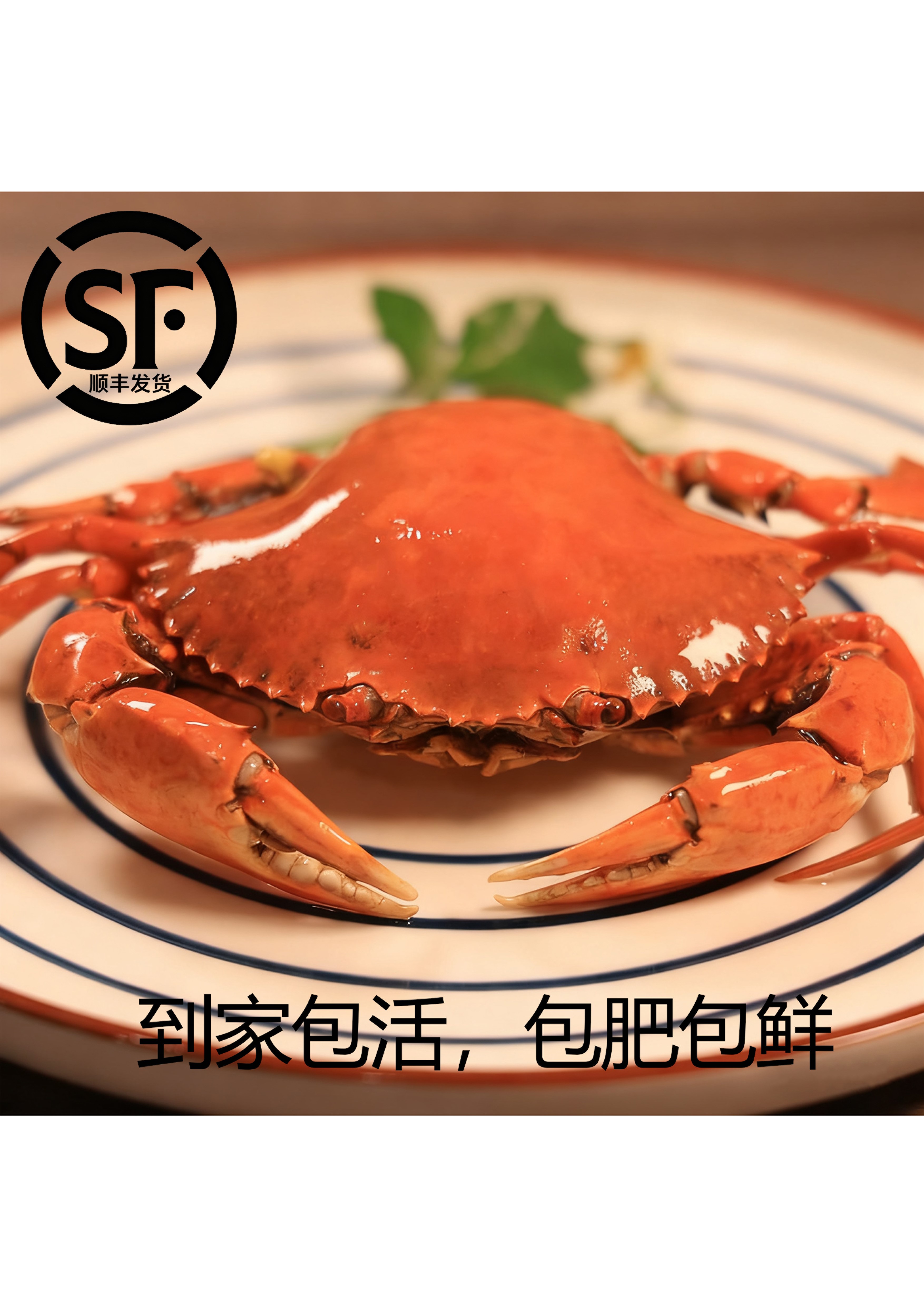  【唐鲜生】特大公蟹1-1.2斤福建青蟹鲜活特大肉蟹