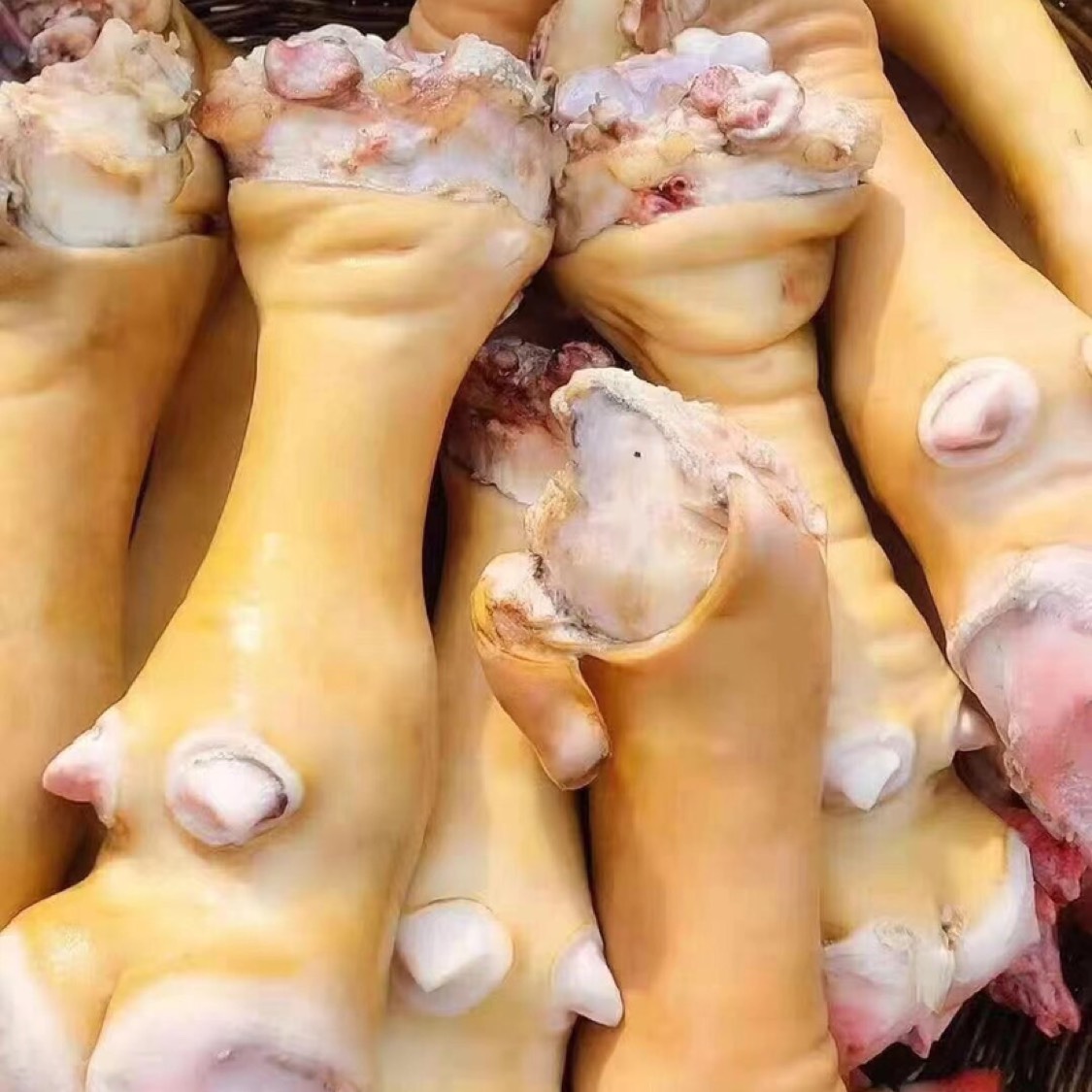 京津冀包邮。新鲜带筋带骨髓整根可切块农家散养牛蹄子牛肉生鲜