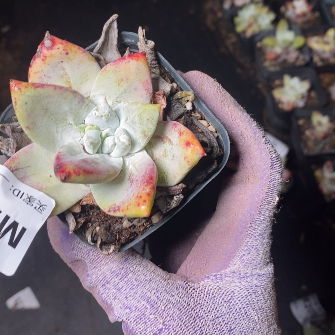 2124哈哈哈哈哈哈哈哈哈哈哈哈哈哈