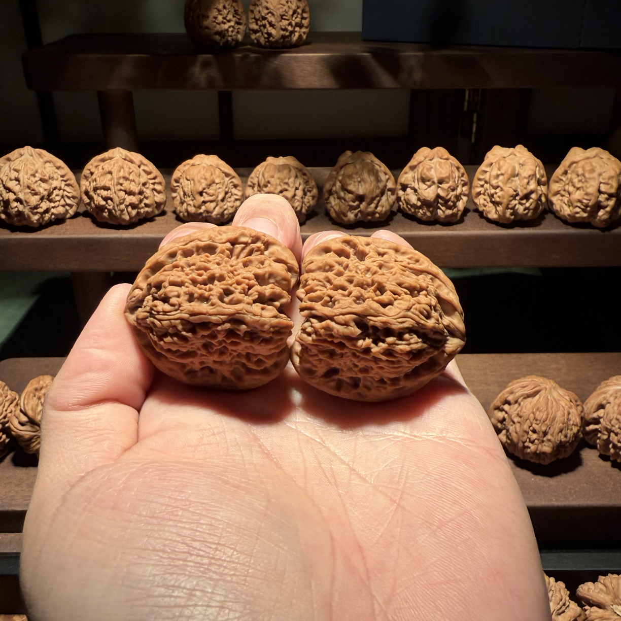 红皮蚂蚁纹全品南疆