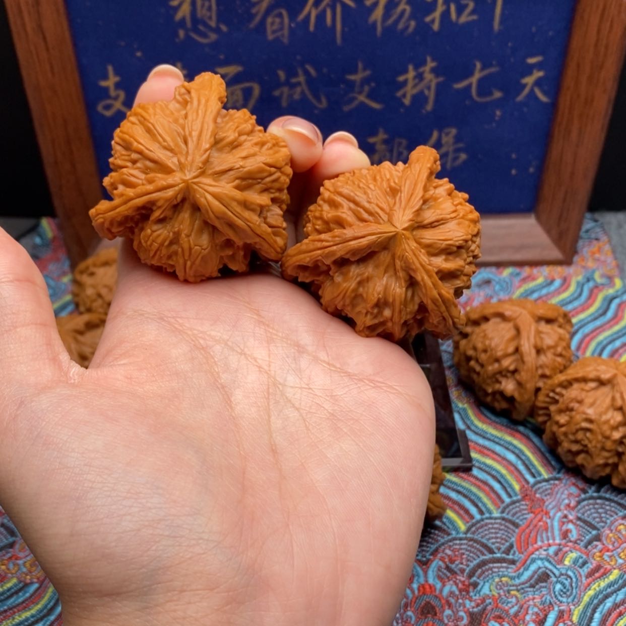 【闪购商品】小*白狮