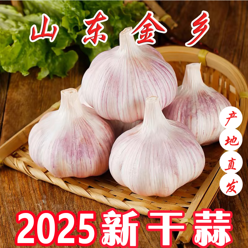 山东金乡新干蒜紫白皮大蒜产地直发新农家菜蒜农家菜