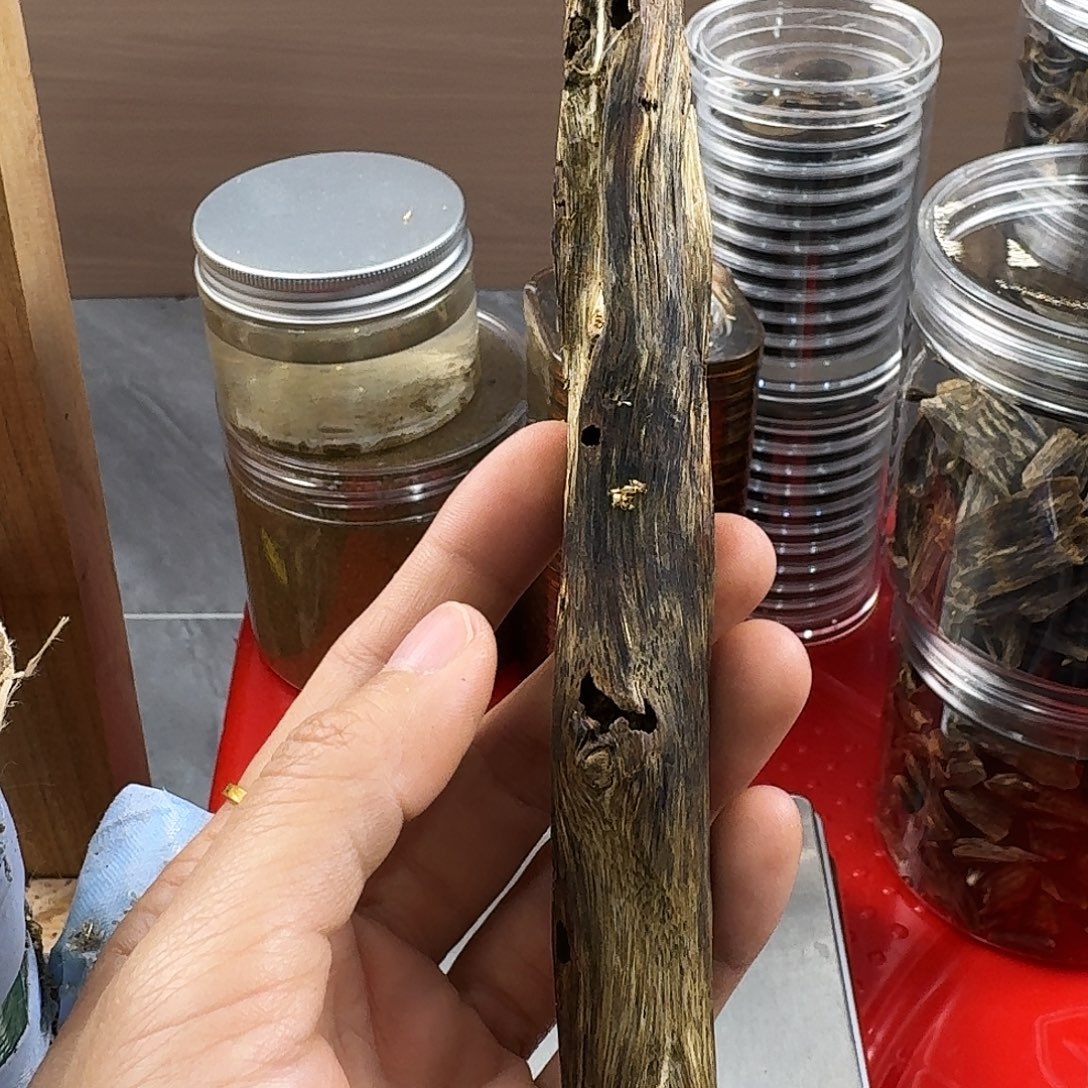 香料绿奇楠虫漏陆河24克