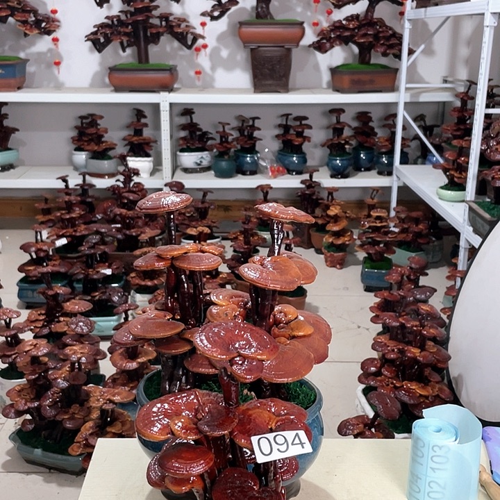 千*健094888888888888888