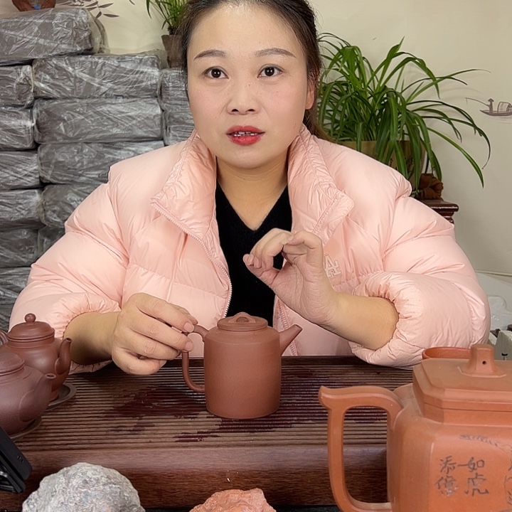 紫砂茶壶宜兴紫砂