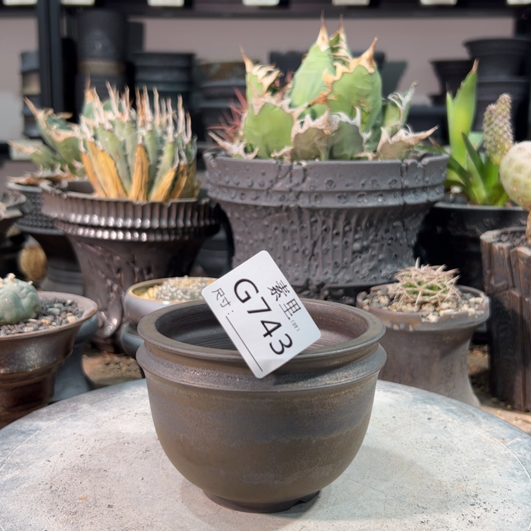 景德镇素里手工内口9.5高7.5