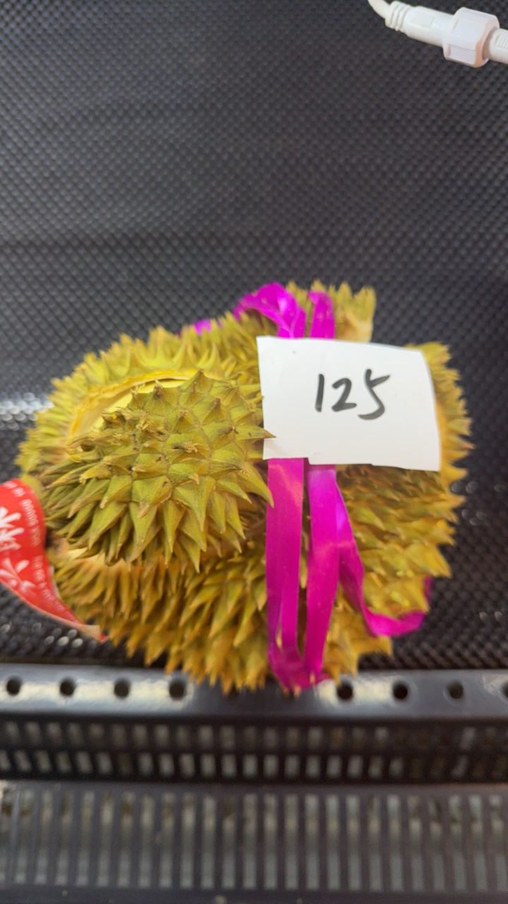 泰国金枕巴掌榴莲