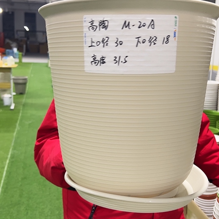 正品高陶口30高31米色3只带托