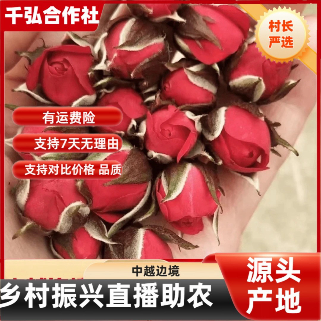  【村长严选】源自农家泡水煮水【金边玫瑰】