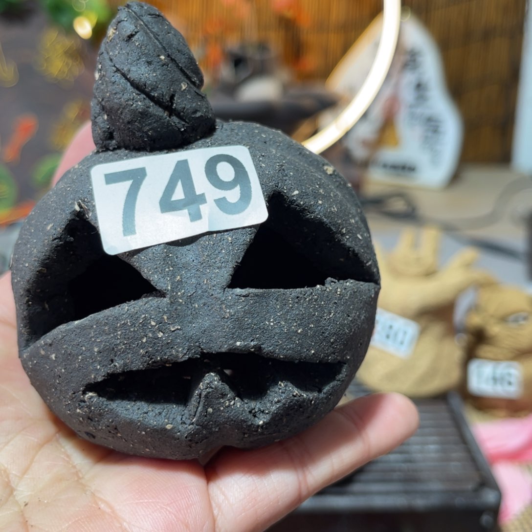 木村信弘柴烧保平