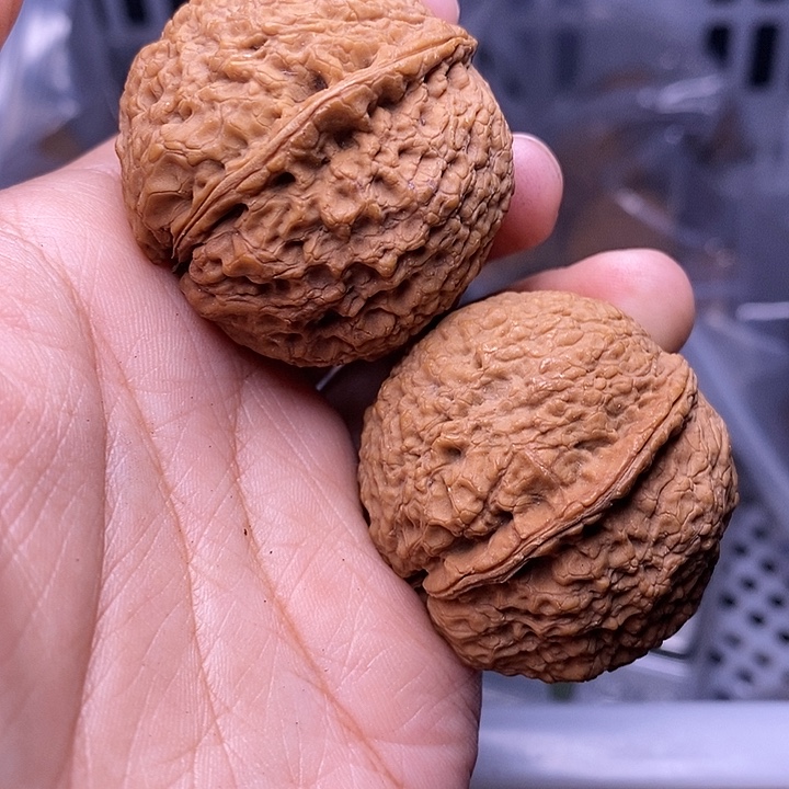 文玩核桃把件  242