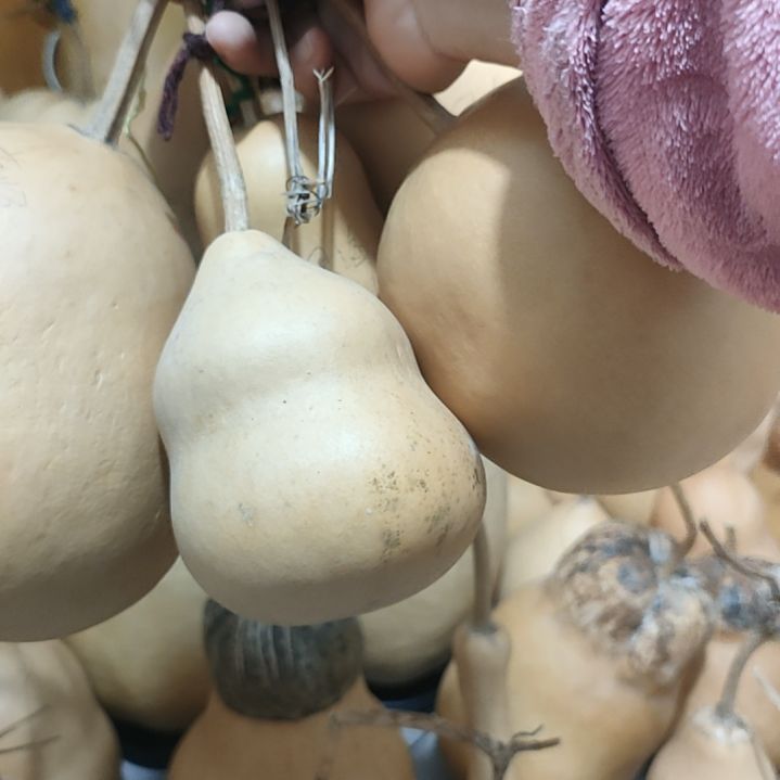 君****藤家居用品，葫芦葫芦
