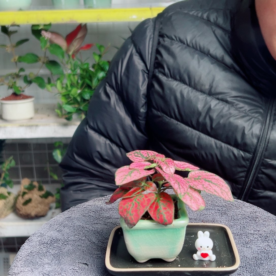 无***攸无花朵93               