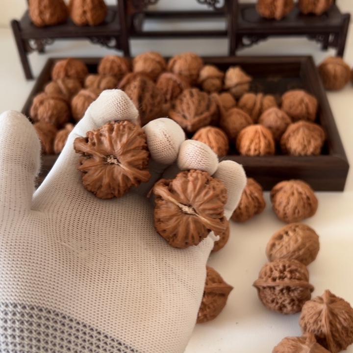 核桃全品白狮子无药