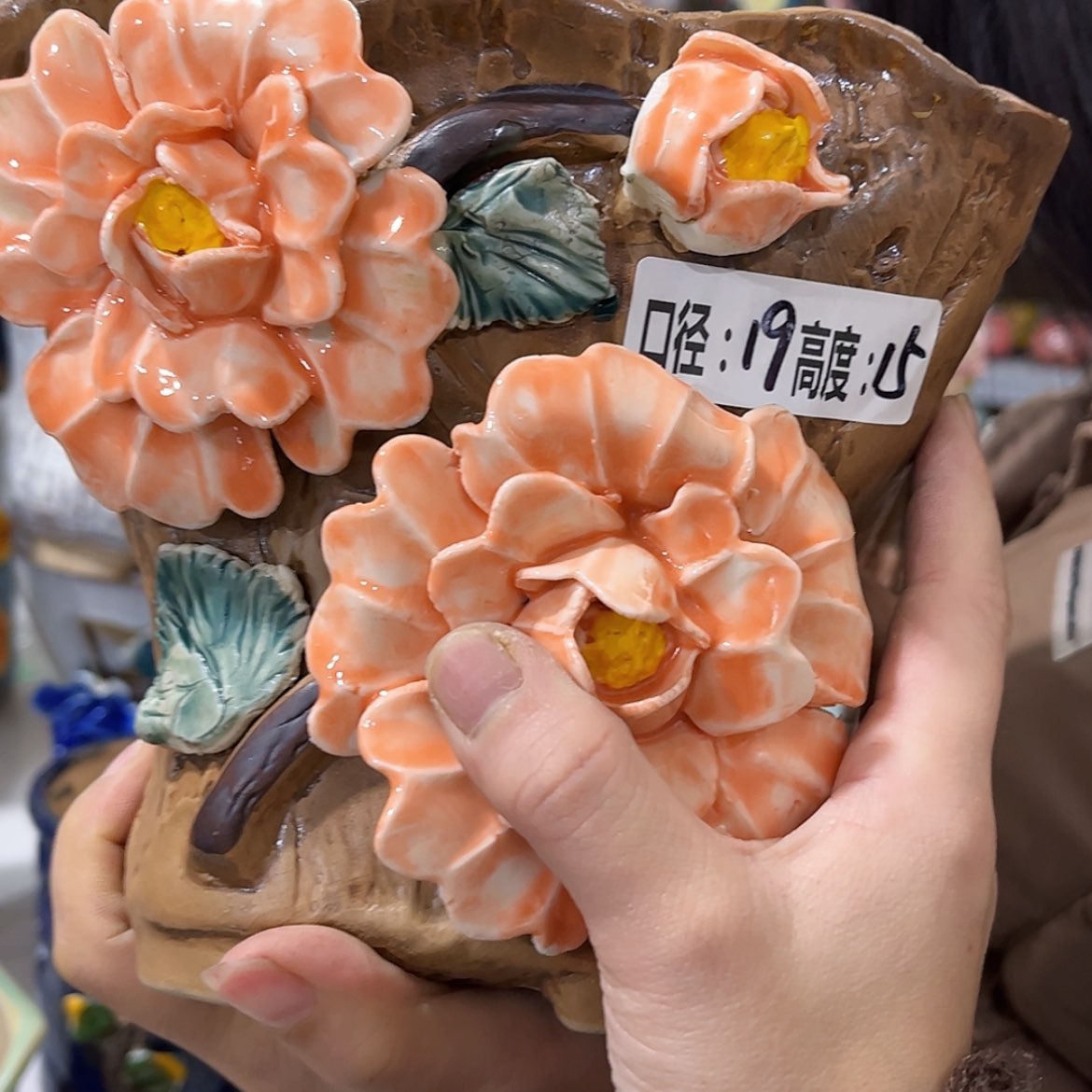 【闪购商品】红陶福利