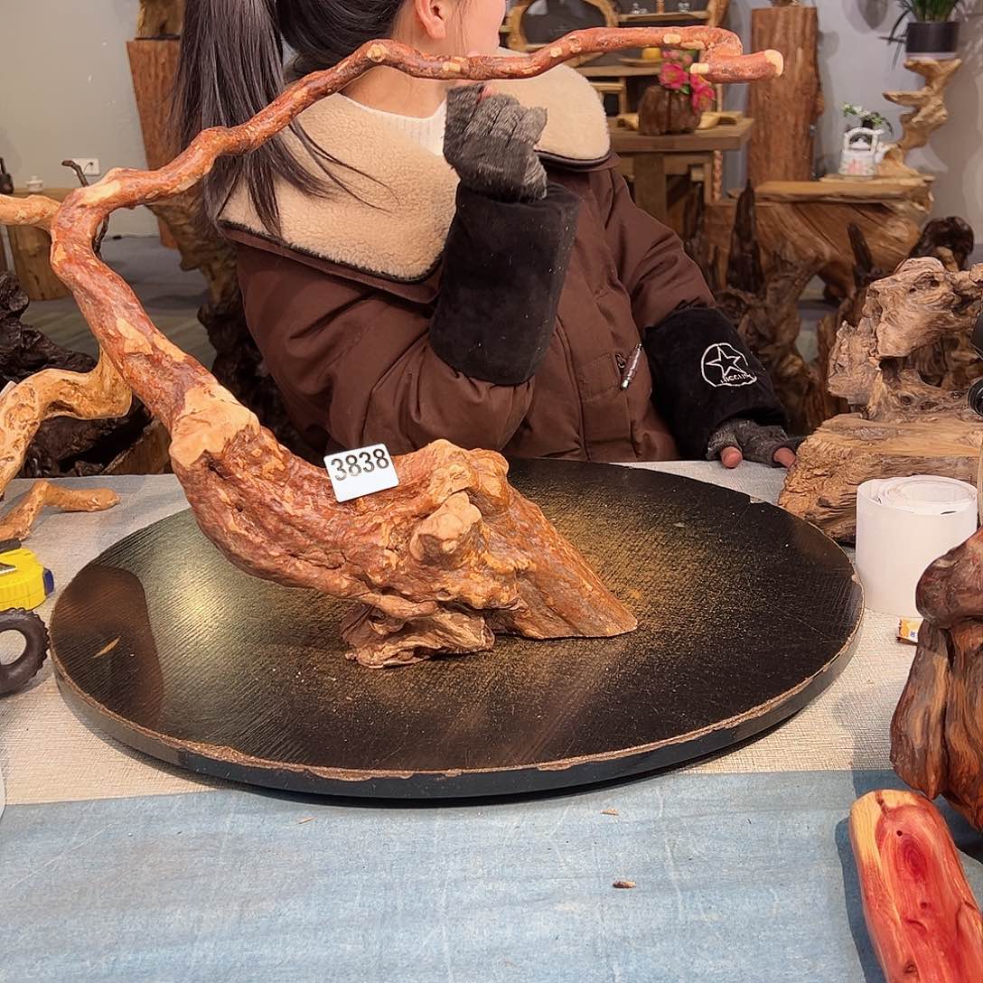 木心**何3838 yibagggvhbnnb