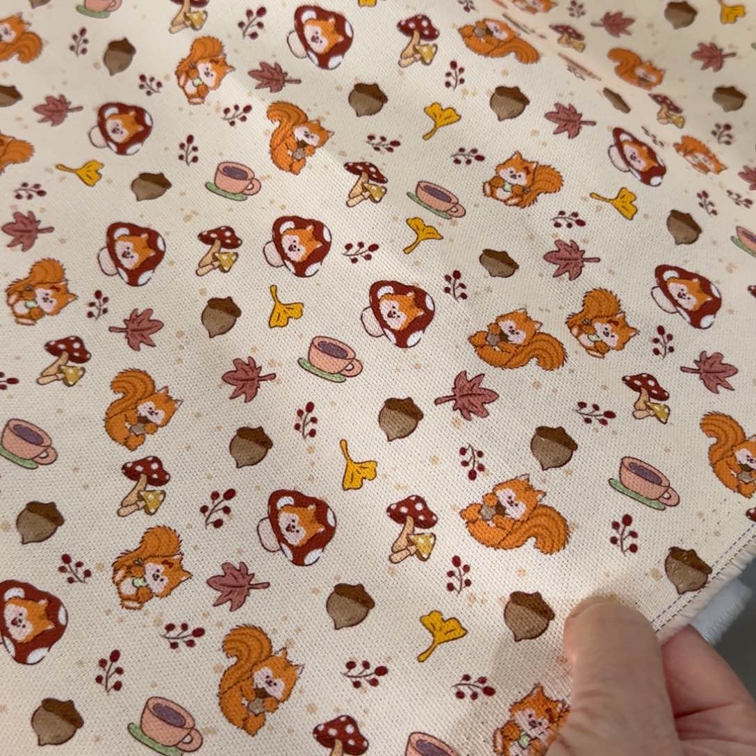 棉纯棉定制粗帆布1米价X1.5米宽C