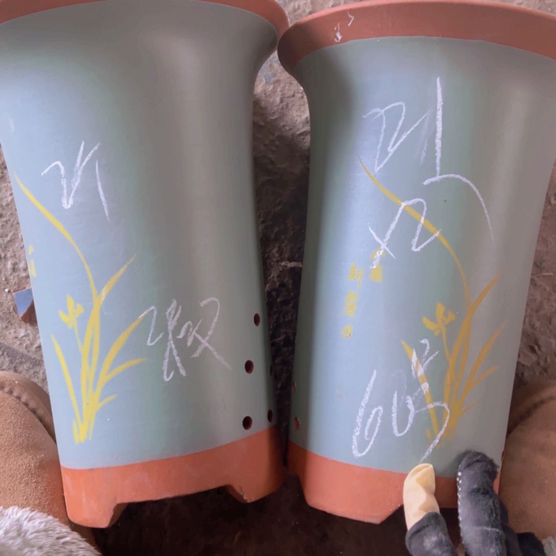 紫砂60………………………………