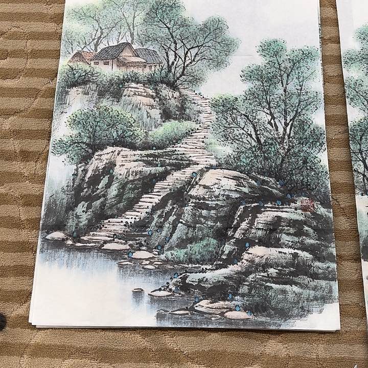 国画平****李花鸟等多种鸟类和