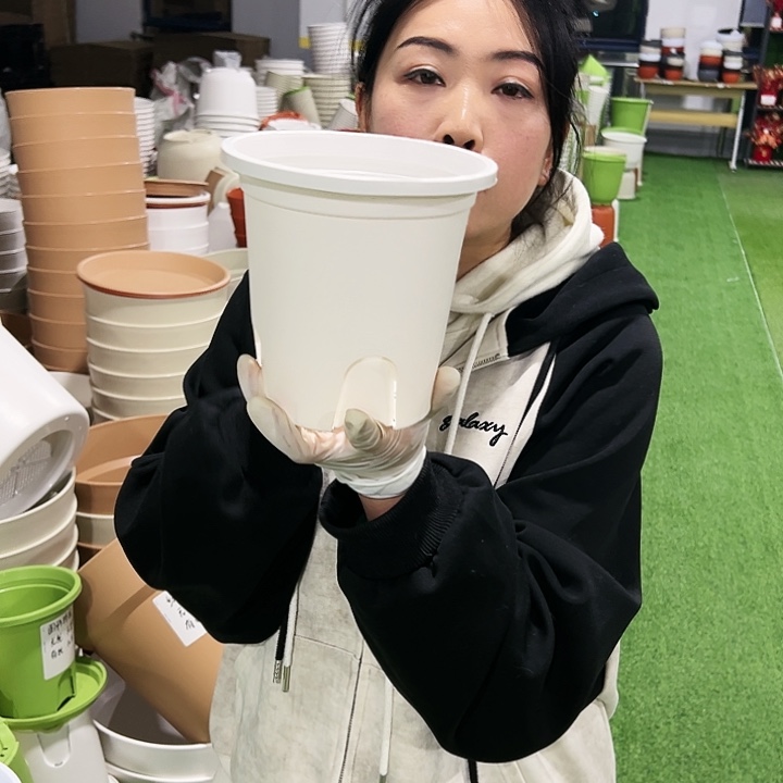 正品圆控口15高15白色10只无托