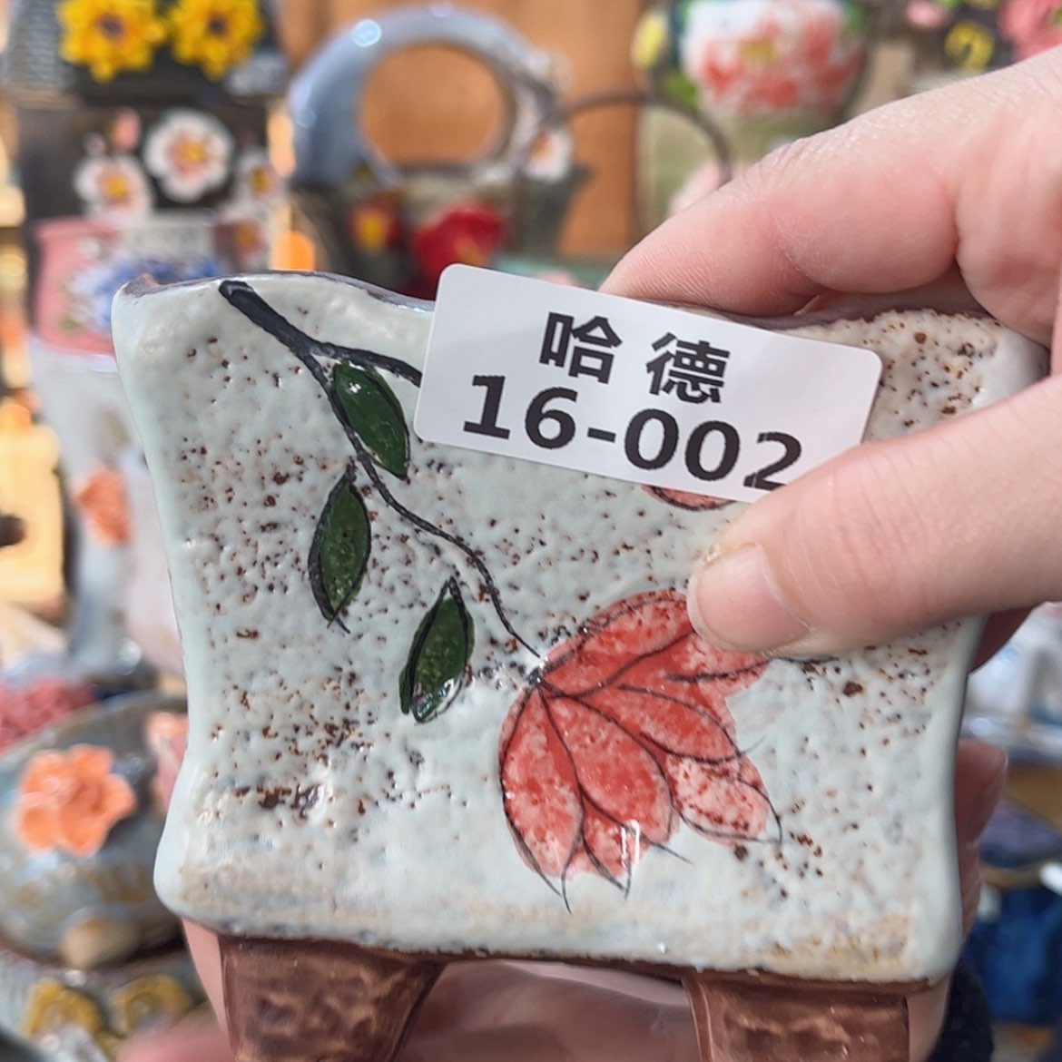 【闪购商品】红陶1602