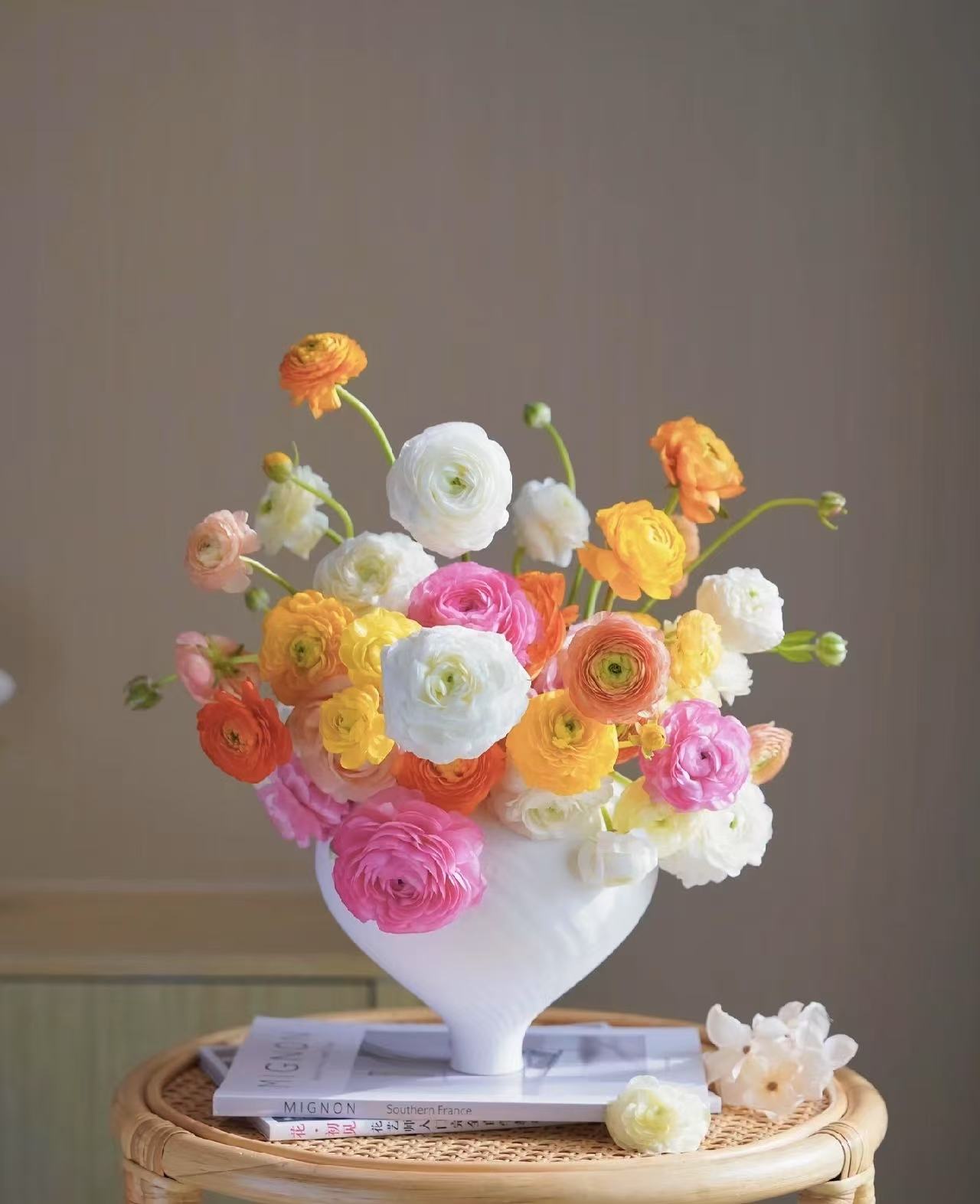 随机色洋牡丹中腿   2扎20枝  