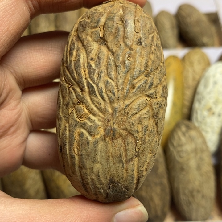 M***y千眼菩提吊坠菩提