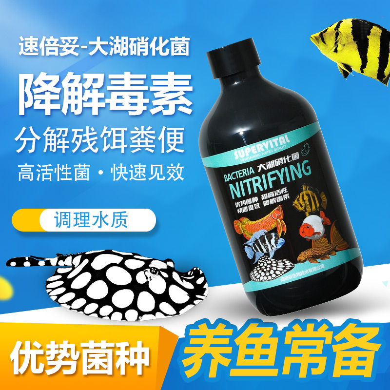 硝化细菌观赏鱼鱼缸净水剂水质稳定剂鱼池硝化菌活菌腥臭味