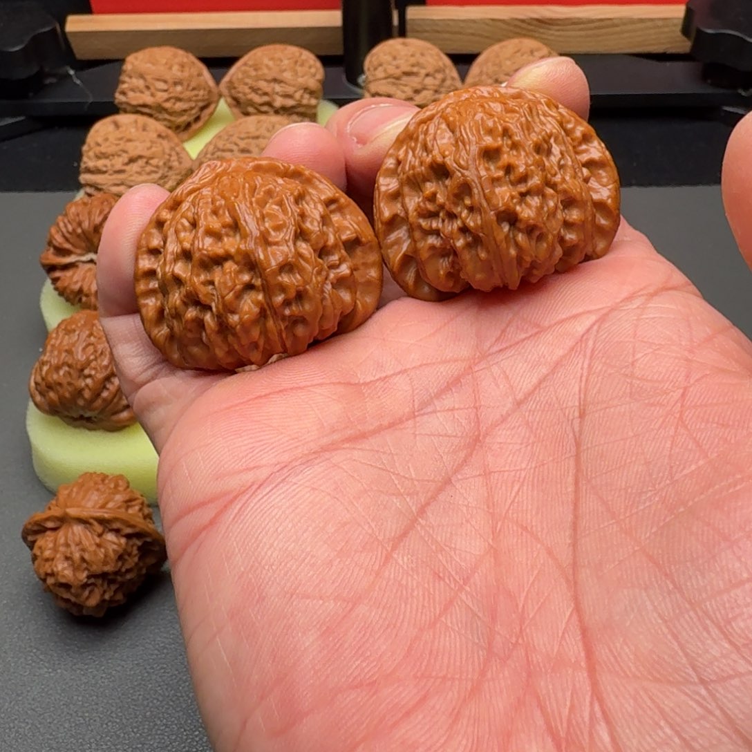 文玩核桃把件布*岛白狮子