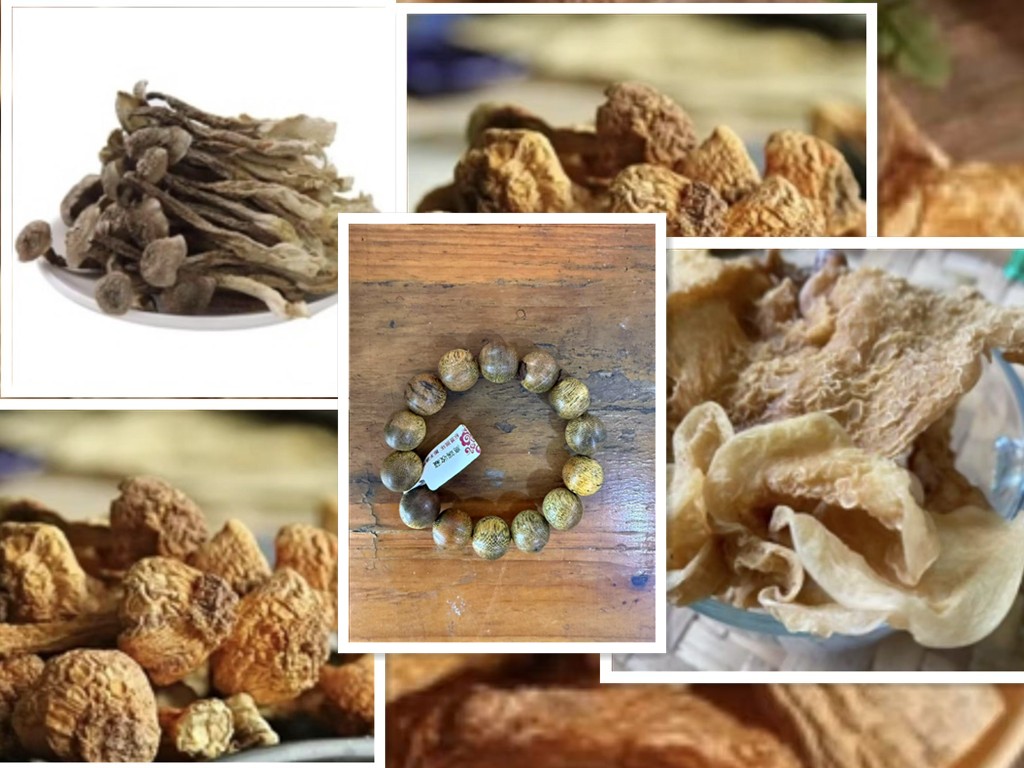 【在河口的秘密】A0402 重量35g