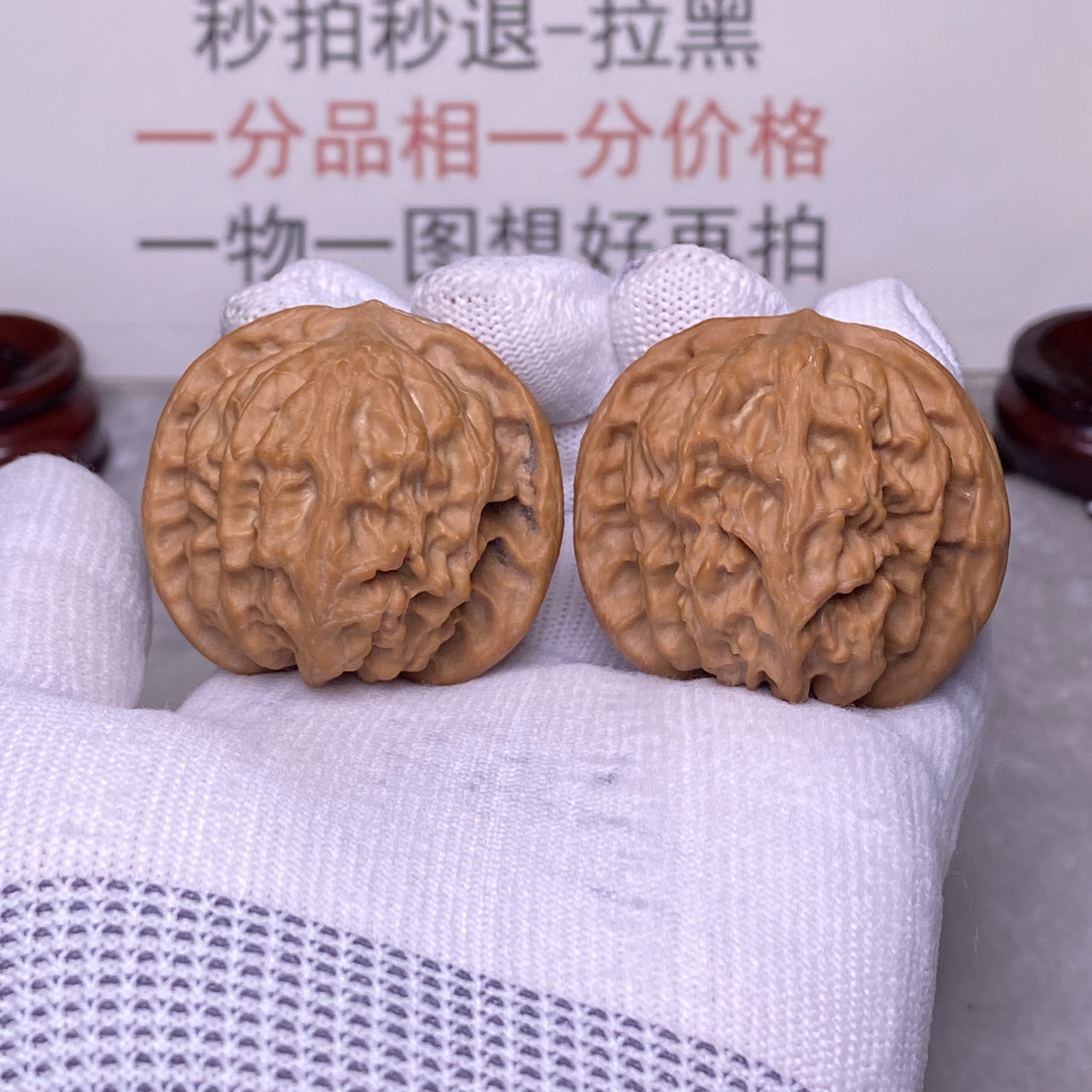 易县 野狼 树王对 全品 边43肚43高39