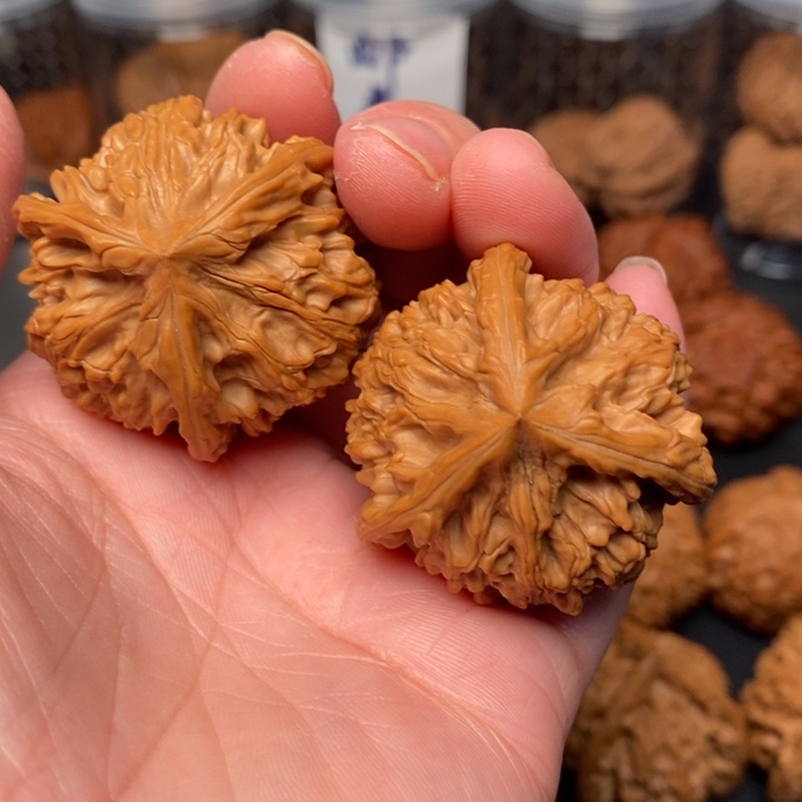 文玩核桃吊坠对***条文山奔