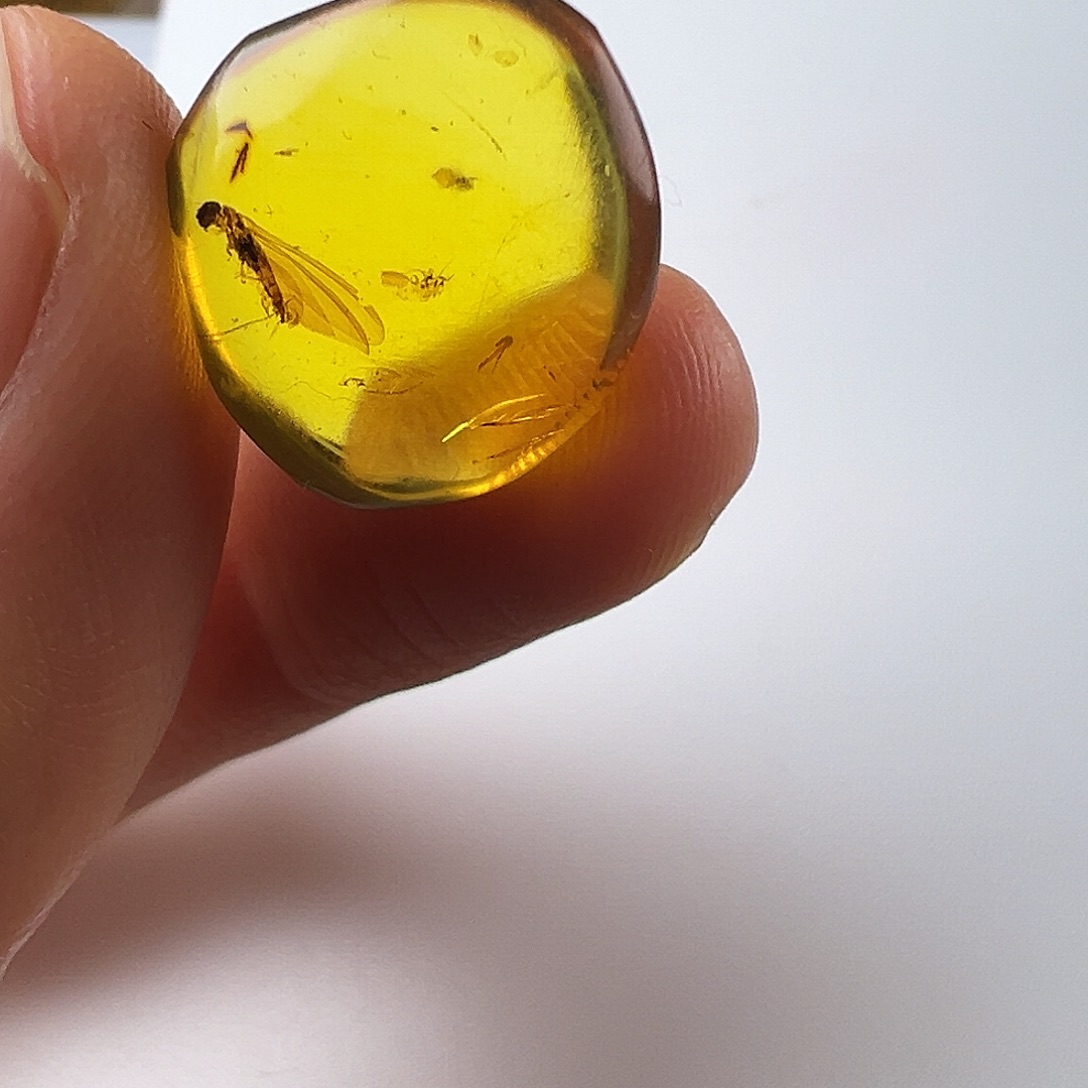 琥珀裸石未镶嵌琥珀虫珀