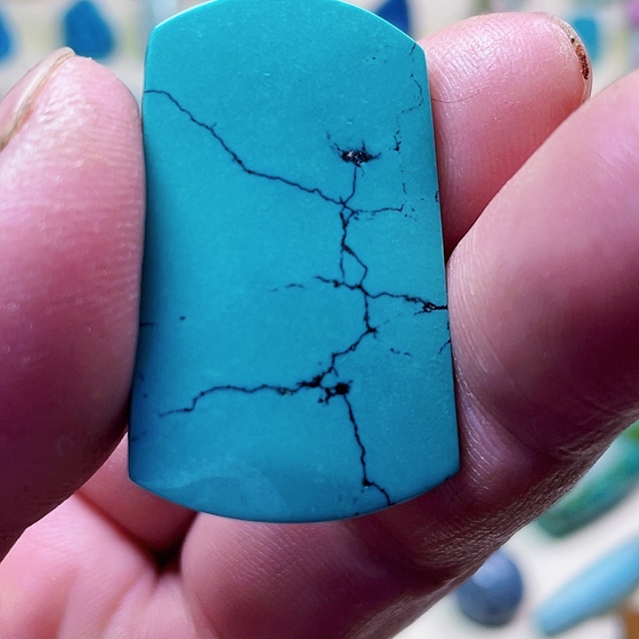 绿松石颈饰未镶嵌