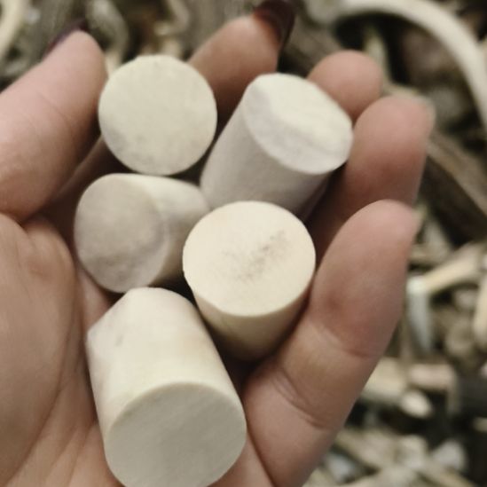 鹿角鹿角鹿角鹿角鹿角