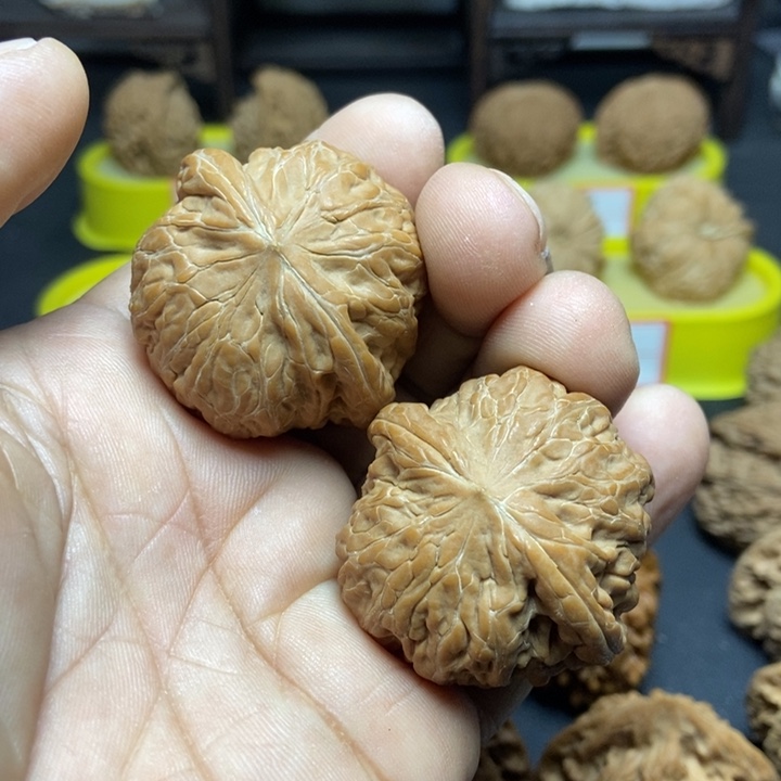 核桃余*铁锤妹儿555