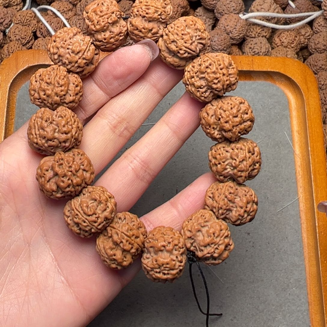 菩提27号金刚菩提深沟梅花22