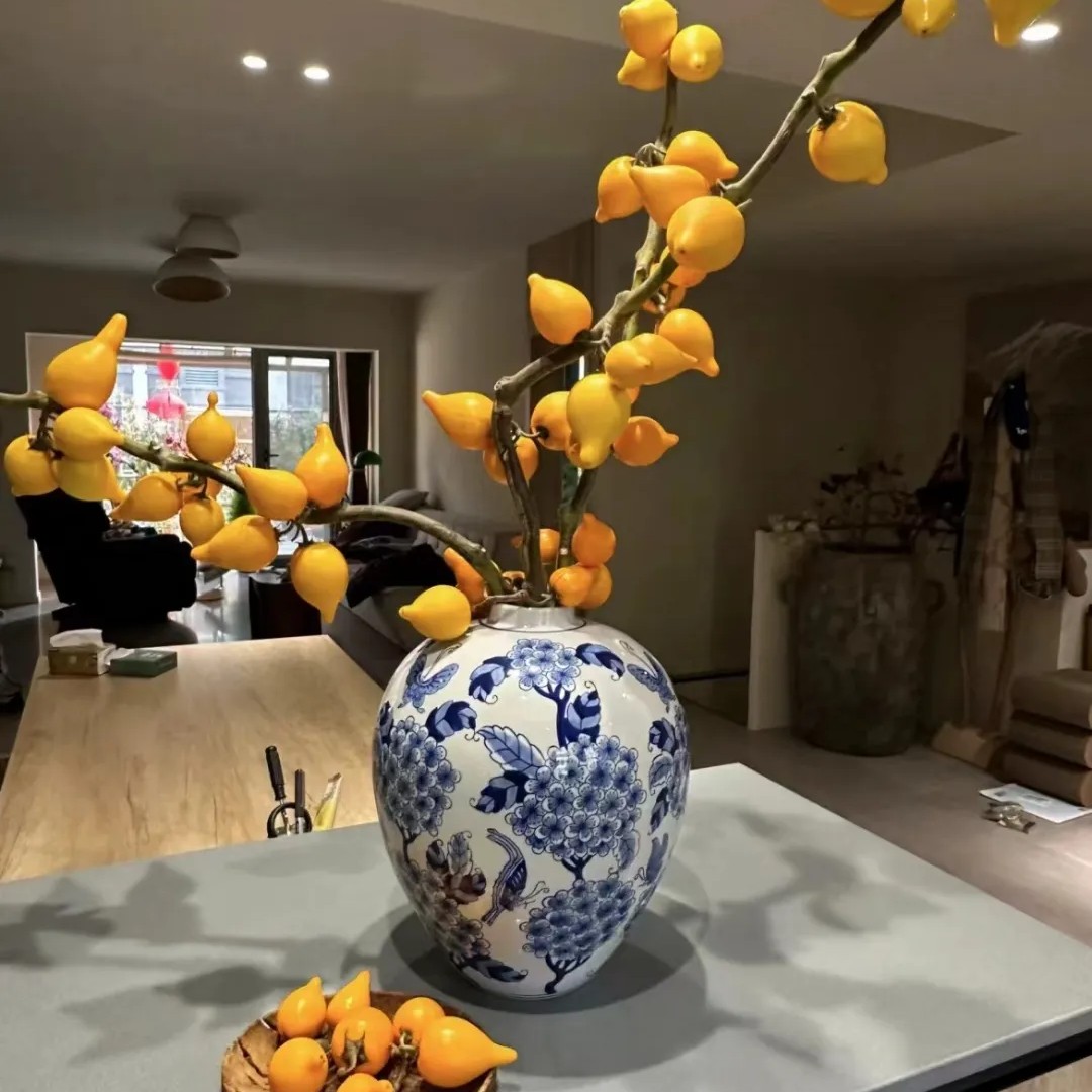 云南鲜花五代果小猪佩奇超长花期可做干花适合客厅摆放