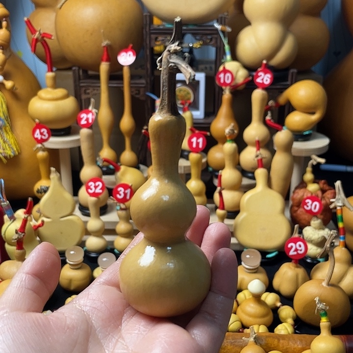 丰***蝉葫芦丝老师好哈斯顿