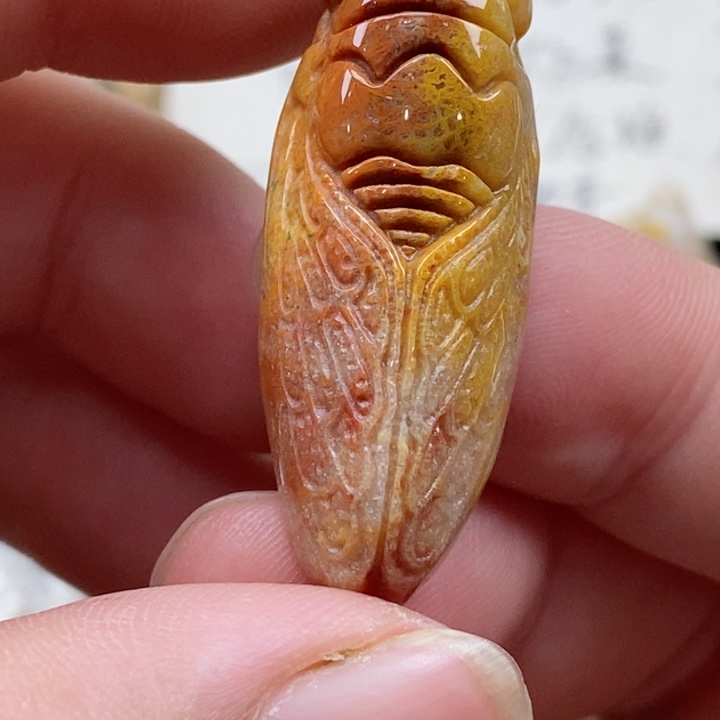 颈饰未镶嵌硅化珊瑚（珊瑚玉）小